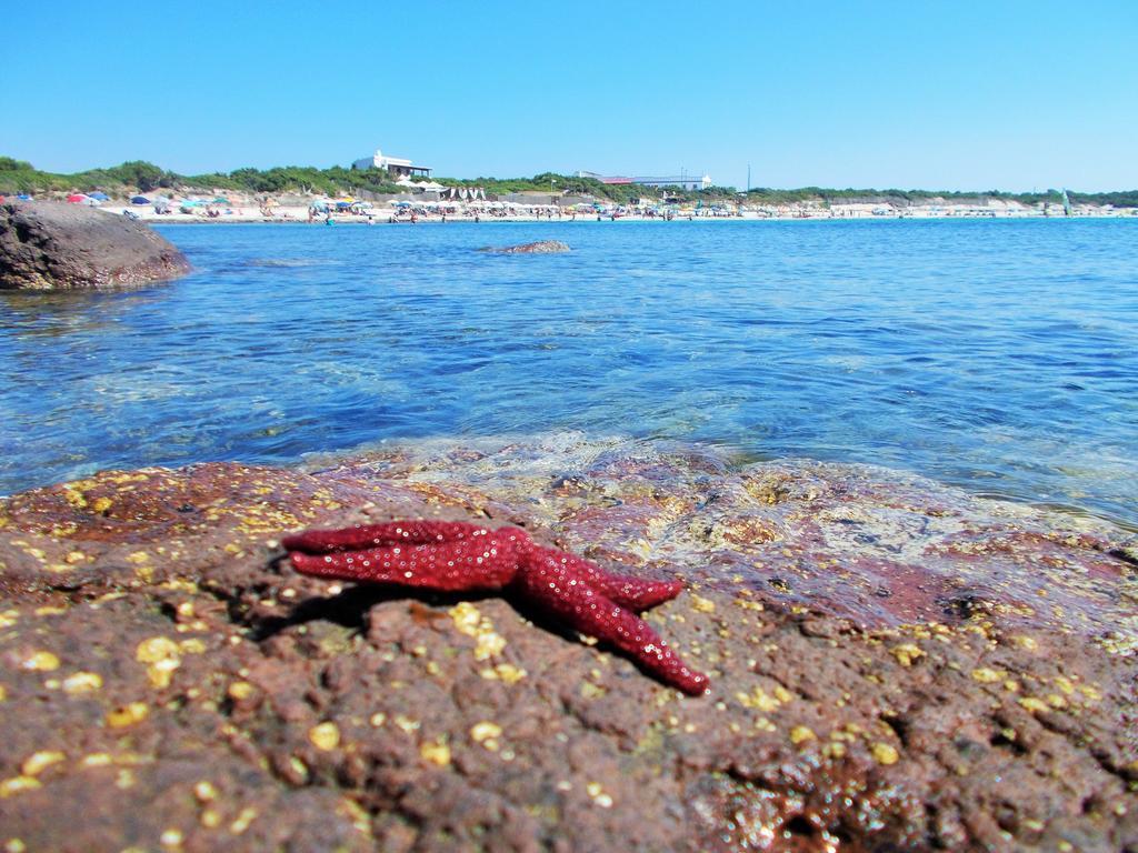 Pineta Spiaggia Grande Калазетта Экстерьер фото